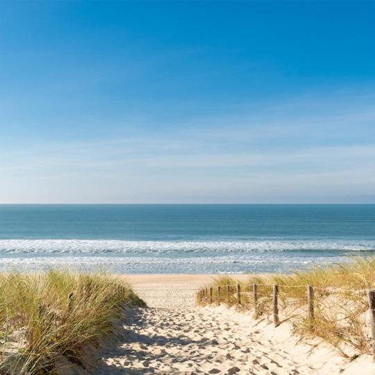 Seadream: Modern Beachside Retreat with Terrace Views Nieuwpoort Exterior photo